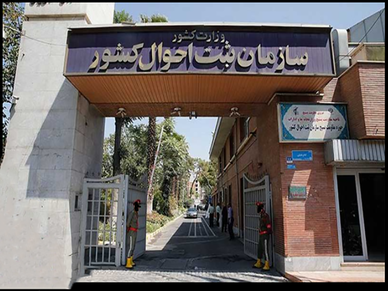 سازمان ثبت احوال کشور تعداد موالید چندقلو را اعلام کرد سازمان ثبت احوال کشور تعداد موالید چندقلو را اعلام کرد