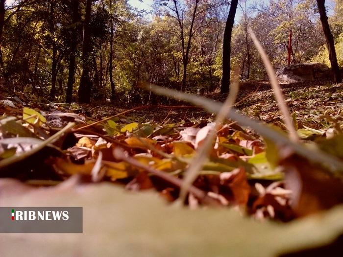 سردی پاییز در راه استان