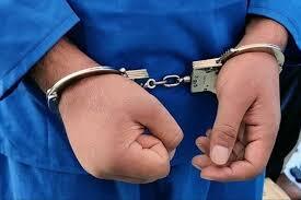 دستگیری عامل نزاع و درگیری در باغ جنت شیراز