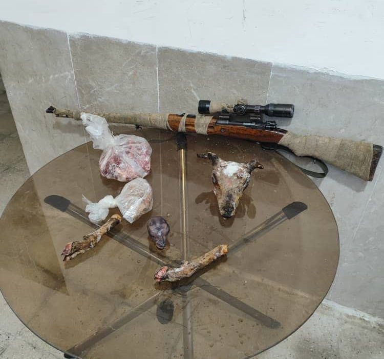 کشف محموله سلاح غیرمجاز و شکار در فسا کشف محموله سلاح غیرمجاز و شکار در فسا