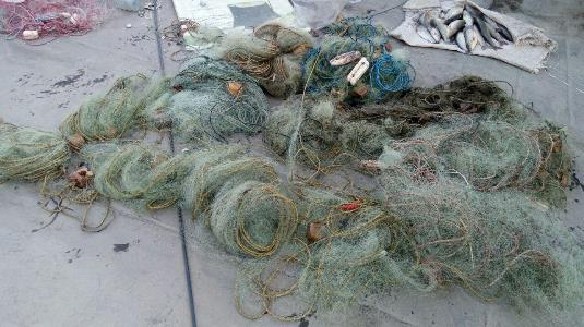 جمع‌آوری ادوات صید غیرمجاز از رودخانه زاب سردشت