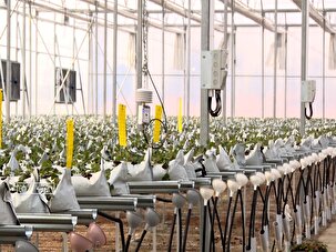 لزوم هوشمند سازی گلخانه‌ها در آذربایجان‌غربی