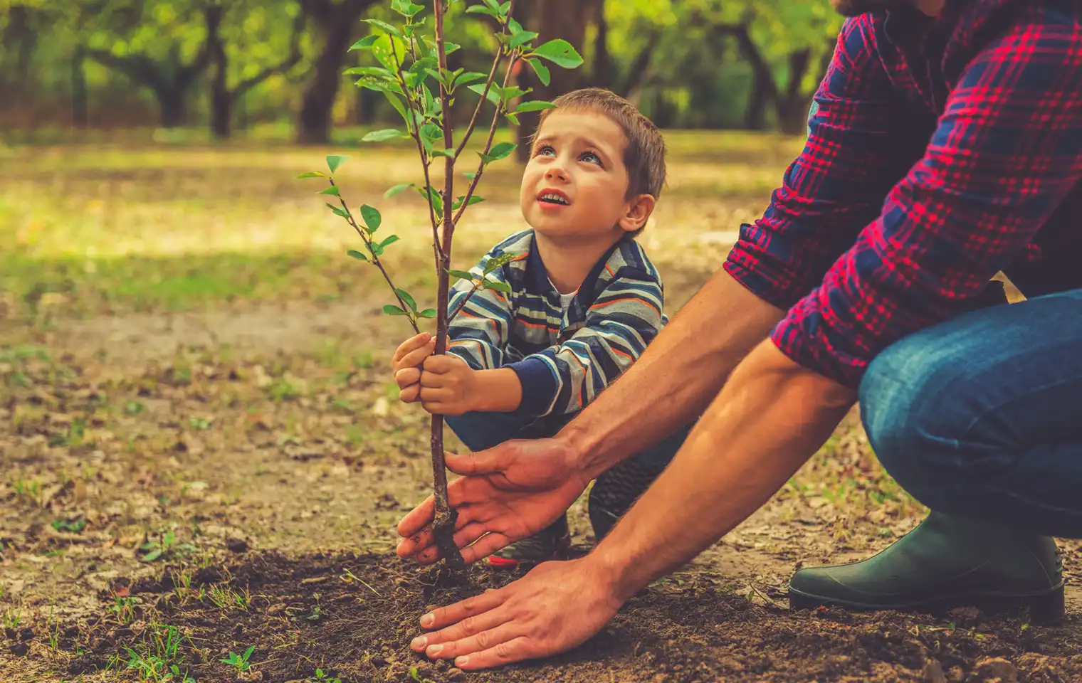 کاشت ۲ هزار نهال به نام و یاد مادران همدانی کاشت ۲ هزار نهال به نام و یاد مادران همدانی