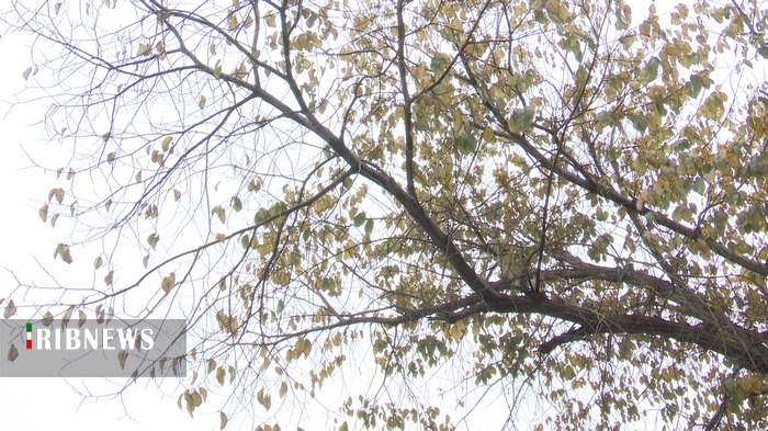 هوای نیمهابری قم با باران کوهستانی و باد هوای نیمهابری قم با باران کوهستانی و باد