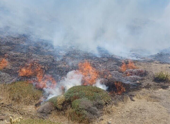 کنترل گسترش حریق در جنگل ابر شاهرود کنترل گسترش حریق در جنگل ابر شاهرود