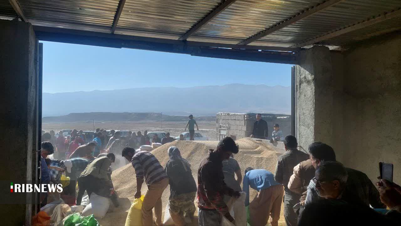 توزیع ۲۴ تن جو و ۲۰ تن سبوس بین ساربانان مانه توزیع ۲۴ تن جو و ۲۰ تن سبوس بین ساربانان مانه